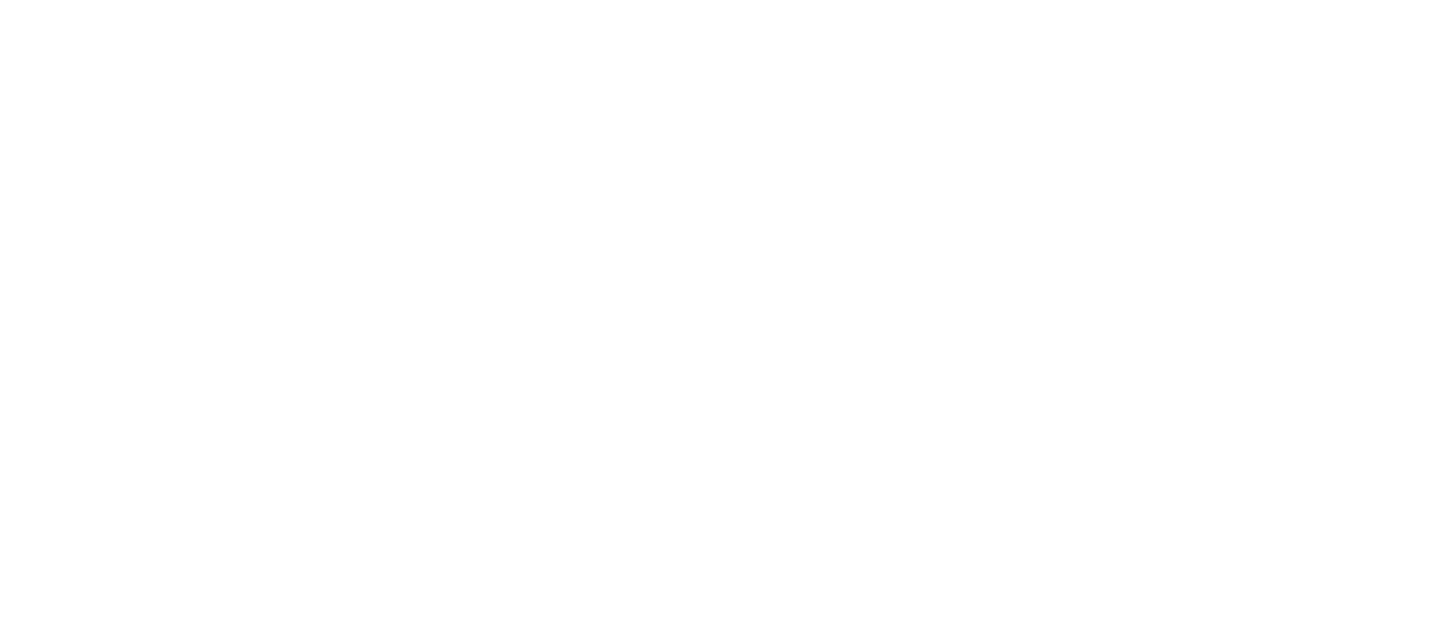 VAZ-Wort-Bild-Marke-mono-weiß